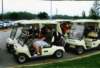 inthecarts_small.jpg
