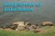 dsc00240_small.jpg