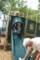 dsc00274_small.jpg