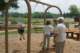 dsc00286_small.jpg